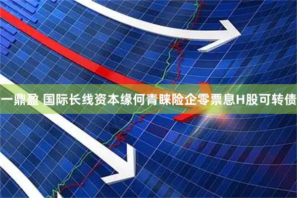 一鼎盈 国际长线资本缘何青睐险企零票息H股可转债